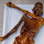 Otzi the Iceman Dabbing