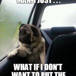 Introspective Pug | I DON'T KNOW MAN, I JUST . . . WHAT IF I DON'T WANT TO PUT THE LIME IN THE COCONUT? | image tagged in introspective pug,meme,memes,lime,coconut,decisions | made w/ Imgflip meme maker