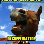 Just Horsing Around | WHAT DO YOU CALL A COW; THAT JUST GAVE BIRTH? DECAFFEINATED!. | image tagged in just horsing around,cow,jokes,funny meme,laughs,funny memes | made w/ Imgflip meme maker