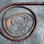 Bull Whip