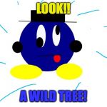 derp orb | LOOK!! A WILD TREE! | image tagged in derp orb | made w/ Imgflip meme maker