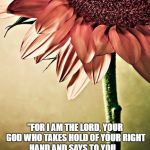 Strong by Necessity, Sweet by nature | "FOR I AM THE LORD, YOUR GOD WHO TAKES HOLD OF YOUR RIGHT HAND AND SAYS TO YOU,    DO NOT FEAR;                      I WILL HELP YOU. 
























       ISAIAH 41:13 | image tagged in strong by necessity sweet by nature | made w/ Imgflip meme maker