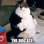 fat cat | THANK GOD YOU'RE HOME; THE DOG ATE ALL THE FOOD | image tagged in fat cat | made w/ Imgflip meme maker