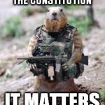 Freedom Fighters | THE CONSTITUTION; IT MATTERS | image tagged in freedom fighters | made w/ Imgflip meme maker