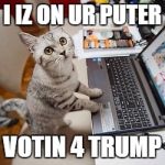 Computer Cat | I IZ ON UR PUTER; VOTIN 4 TRUMP | image tagged in computer cat,trump,cats | made w/ Imgflip meme maker