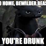 Bored Dragon | GO HOME, BEWILDER BEAST; YOU'RE DRUNK | image tagged in bored dragon | made w/ Imgflip meme maker