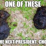 Two Turds for President | ONE OF THESE; WILL BE THE NEXT PRESIDENT, CHOOSE NOW | image tagged in two turds,memes,hillary clinton 2016,donald trump | made w/ Imgflip meme maker
