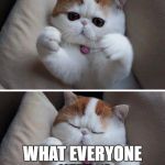 I need hugs cat | HUGS; WHAT EVERYONE NEEDS! | image tagged in i need hugs cat,cats,meme,memes | made w/ Imgflip meme maker