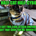 Fallout RayCat | I'M HALF-CAT HALF-CYBORG; BUT I GOT THIS COOL ATTACK UNIFORM ON, SO I GOT THAT GOIN' FOR ME, WHICH IS NICE | image tagged in fallout raycat,memes | made w/ Imgflip meme maker