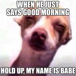 Squinting Chihuahua | WHEN HE JUST SAYS GOOD MORNING; HOLD UP, MY NAME IS BABE | image tagged in squinting chihuahua | made w/ Imgflip meme maker