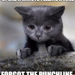 Confession Cat | SPEND A MINUTE TELLING A JOKE; FORGOT THE PUNCHLINE | image tagged in confession cat,memes,joke | made w/ Imgflip meme maker