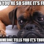 Depressed dog | WHEN YOU'RE SO SURE IT'S FRIDAY; AND SOMEONE TELLS YOU IT'S THURSDAY | image tagged in depressed dog | made w/ Imgflip meme maker