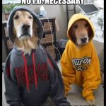 thug Dogs | YEAH BABY WE'RE REGISTERED DEMOCRATIC VOTERS, NO I.D. NECESSARY; YOU GOT A PROBLEM WITH THAT | image tagged in thug dogs | made w/ Imgflip meme maker