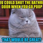 Disgusted Fold (A Galileo10 Template) | IF YOU COULD SHUT THE BATHROOM DOOR WHEN YOU GO POOP; THAT WOULD BE GREAT! | image tagged in disgusted fold,funny meme,cats,bathroom,doors,laughs | made w/ Imgflip meme maker