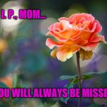 My Mother died this morning, and this was her favorite rose... | R. I. P., MOM... YOU WILL ALWAYS BE MISSED | image tagged in roses,rip,mom,mother,love,sad | made w/ Imgflip meme maker