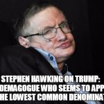 stephen hawking duck face | STEPHEN HAWKING ON TRUMP: 
 "A DEMAGOGUE WHO SEEMS TO APPEAL TO THE LOWEST COMMON DENOMINATOR" | image tagged in stephen hawking duck face | made w/ Imgflip meme maker