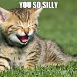 AND THIS IS IMPORTANT WHY? | YOU SO SILLY | image tagged in laughing cat | made w/ Imgflip meme maker