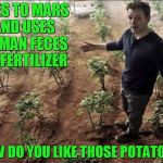 Potatoes Au Damon | GOES TO MARS AND USES HUMAN FECES AS FERTILIZER; HOW DO YOU LIKE THOSE POTATOES? | image tagged in matt damon,matt damon on mars,potato,memes,funny memes,mars | made w/ Imgflip meme maker