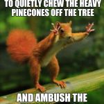 It Happened To Me | OUR TACTIC WILL BE TO QUIETLY CHEW THE HEAVY PINECONES OFF THE TREE; AND AMBUSH THE HUMANS BELOW | image tagged in red squirrel,terrorists | made w/ Imgflip meme maker