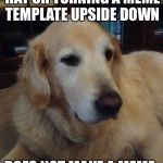 Overly critical dog | ADDING A SCUMBAG HAT OR TURNING A MEME TEMPLATE UPSIDE DOWN; DOES NOT MAKE A MEME AUTOMATICALLY FUNNY | image tagged in overly critical dog | made w/ Imgflip meme maker