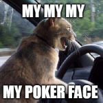Puss Puss sings while driving | MY MY MY; MY POKER FACE | image tagged in catsale,lady gaga,poker face,singingcat,cat,loud bass | made w/ Imgflip meme maker