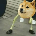 Dancing Doge meme