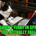 Fact Cat | YOU DON'T FLOAT IN SPACE, YOU ACTUALLY FALL. | image tagged in fact cat | made w/ Imgflip meme maker