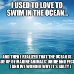 Nature's Toilet | I USED TO LOVE TO SWIM IN THE OCEAN... AND THEN I REALIZED THAT THE OCEAN IS MADE UP OF MARINE ANIMALS' URINE AND FECES...         ( AND WE WONDER WHY IT'S SALTY ) | image tagged in ocean,pee,poop,fish,swim,funny memes | made w/ Imgflip meme maker