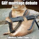 Gerbils way in on Gay Marriage Debate  | Gerbils way in on GAY marriage debate; Tubeless Toilet Paper?? NOOOOOOOOOOOOOOOOOOOOOOOooo | image tagged in lemmywinks gerbil gay rights | made w/ Imgflip meme maker