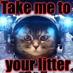The Aliens might be closer than you ever thought...... | Take me to; your litter | image tagged in space cat 2,memes,evilmandoevil,funny | made w/ Imgflip meme maker