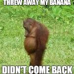 sad orangatan | THREW AWAY MY BANANA; DIDN'T COME BACK | image tagged in sad orangatan | made w/ Imgflip meme maker