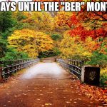 Autumn bridge | 11 DAYS UNTIL THE "BER" MONTHS | image tagged in autumn bridge | made w/ Imgflip meme maker