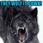 Bad Pun Insanity Wolf (A pinheadpokemanz Template) | HOW DO WOLVES EAT THEIR FOOD? THEY WOLF IT DOWN! | image tagged in bad pun insanity wolf,funny memes,jokes,wolf,food,laughs | made w/ Imgflip meme maker