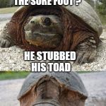 Trippin' frog | DID YA HEAR ABOUT THE FROG WITH THE SORE FOOT ? HE STUBBED HIS TOAD | image tagged in bad pun tortoise,memes,bad pun,toad,frog,stub | made w/ Imgflip meme maker