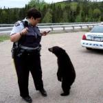 Cop With Cub