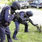 Cops Arrest Cat