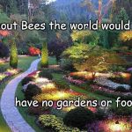 ButchartGarden2 | Without Bees the world would; have no gardens or food... | image tagged in butchartgarden2 | made w/ Imgflip meme maker