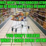 My life is a clickbait ad | I JUST WENT TO THE GROCERY STORE A LOAF OF BREAD AND A ROLL OF QUARTERS; YOU WON'T BELIEVE WHAT I CAME HOME WITH! | image tagged in grocery cart in aisle,memes | made w/ Imgflip meme maker