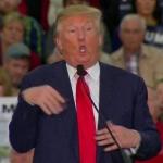 Trump disabled meme