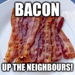 underdosebacon | BACON; UP THE NEIGHBOURS! | image tagged in underdosebacon | made w/ Imgflip meme maker