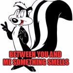 He Should Know | WHAT DID ONE EYE SAY TO THE OTHER EYE; BETWEEN YOU AND ME SOMETHING SMELLS | image tagged in bad pun le pew,stinky,cartoon charater,funny | made w/ Imgflip meme maker