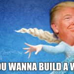 Do You Wanna Build A Wall? Cause it's pointless. :D | DO YOU WANNA BUILD A WALL? | image tagged in donald trump frozen,memes,donald trump | made w/ Imgflip meme maker
