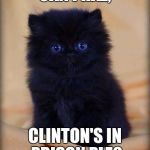 Bless its heart, give it what it wants.  | CAN I HAZ, CLINTON'S IN PRISON PLZ? | image tagged in insanely cute kitten,hillary clinton,prison,election 2016,memes | made w/ Imgflip meme maker