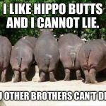 I may have misunderstood the lyrics to this song.  | I LIKE HIPPO BUTTS AND I CANNOT LIE. YOU OTHER BROTHERS CAN'T DENY. | image tagged in hippo butts,big butts,lies | made w/ Imgflip meme maker