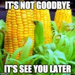 Here's a corny joke for you folks! | IT'S NOT GOODBYE; IT'S SEE YOU LATER | image tagged in corn,poop,stool,crap,deficate,feces | made w/ Imgflip meme maker