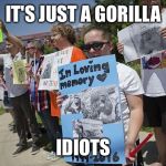 Harambe | IT'S JUST A GORILLA; IDIOTS | image tagged in harambe | made w/ Imgflip meme maker