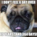 Happy 50th Birthday! | I DON'T FEEL A DAY OVER; 49 YEARS...AND 364 DAYS! | image tagged in happy birthday,pug,getting old | made w/ Imgflip meme maker