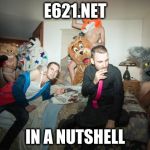 FURRY ROOM PARTY | E621.NET; IN A NUTSHELL | image tagged in furry room party | made w/ Imgflip meme maker