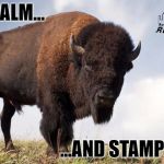 Buffalo | KEEP CALM... ...AND STAMPEDE ON! | image tagged in buffalo | made w/ Imgflip meme maker