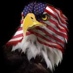 Flag Faced American Eagle